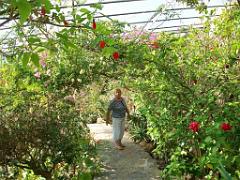 183 D21 SANARY SUR MER 1_000014